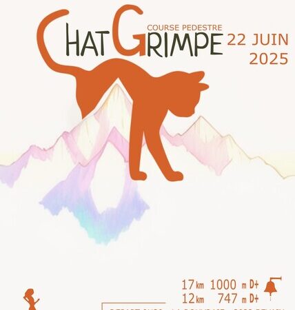 ChatGrimpe 2025