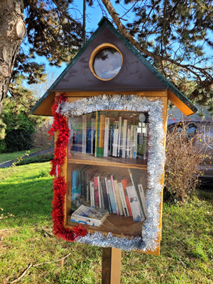 C’est aussi Noël pour les boîtes à livres