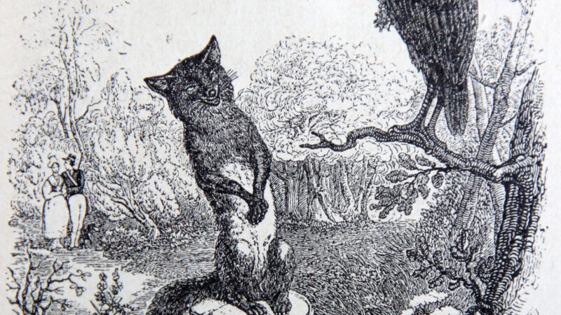 Lo Corbé et lo Rena – patois de Montalchez