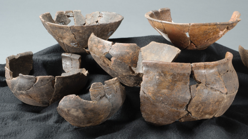 Les baies lacustres de Bevaix et de Cortaillod