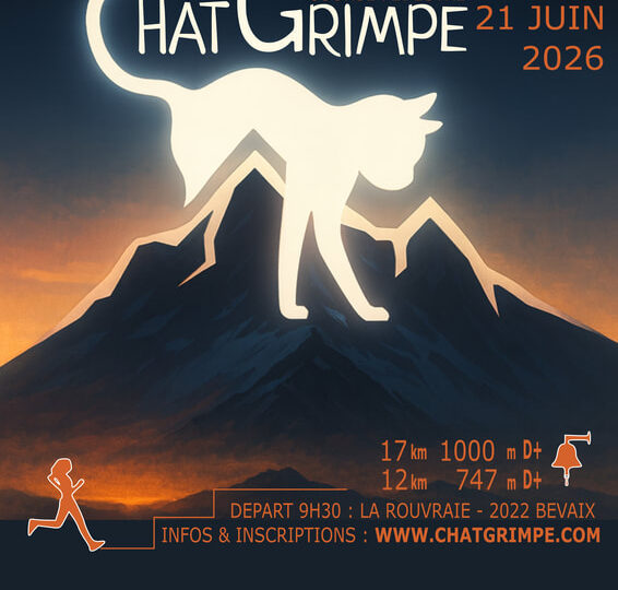Chat grimpe
