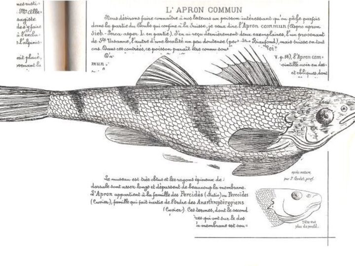 La fête de la nature – Atelier d’expression libre