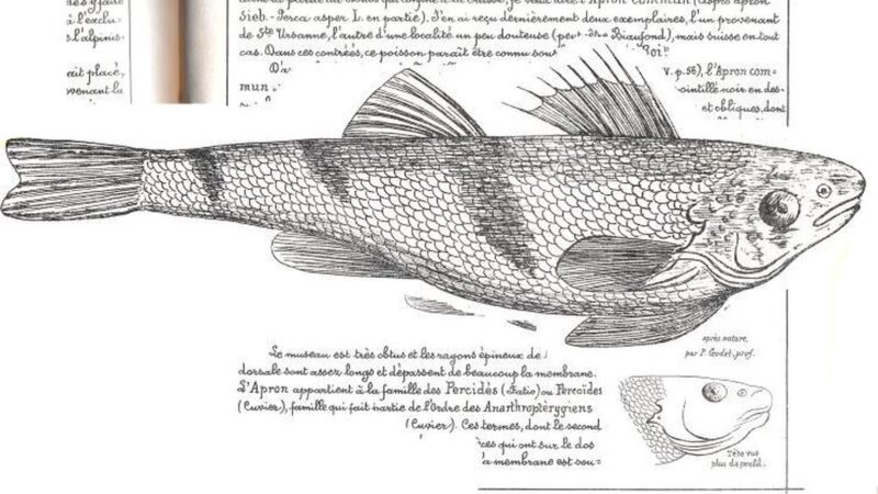 La fête de la nature – Atelier d’expression libre