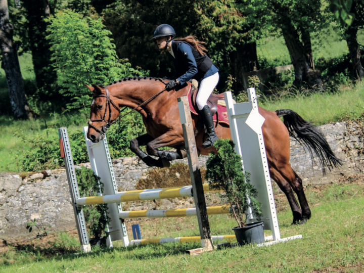 Concours hippique de Plan-Jacot