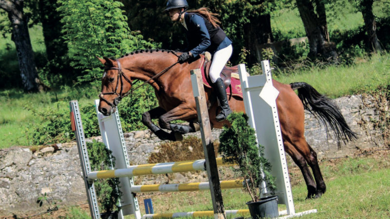 Concours hippique de Plan-Jacot